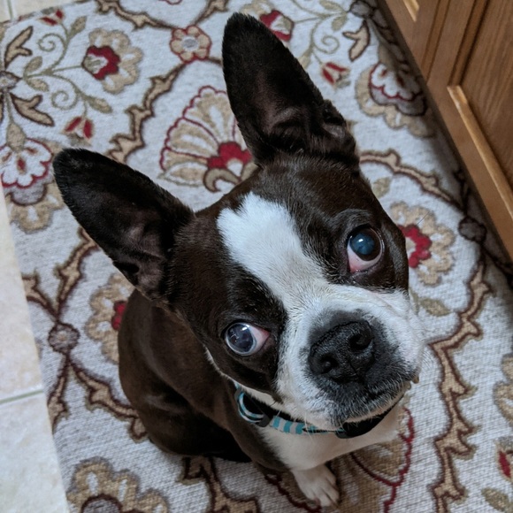 Meet your Posher, Kenda - Picture 1 of 1